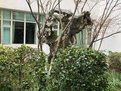 -苏州图书馆(人民路总馆)