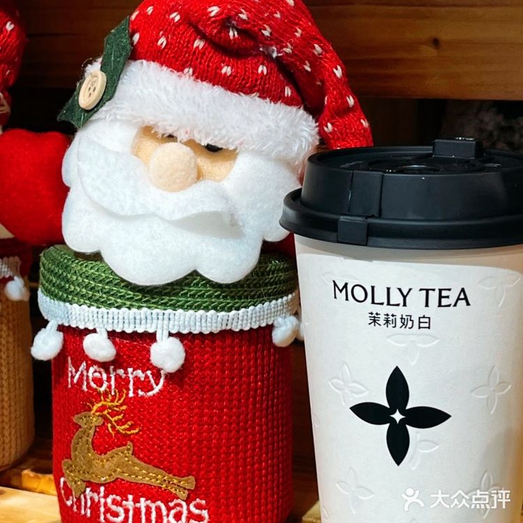 2024年的尾巴，和茉莉奶白一起…