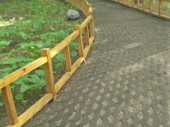 景点-陶然亭公园