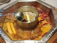 -蜀九香火锅(九眼桥店)