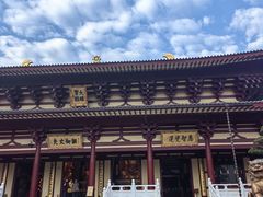 -庐山风景名胜区-东林大佛