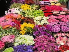 -双季花艺园艺市场(浦东店)
