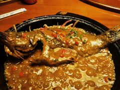 铁锅臭桂鱼-老江南春·中国龙菜(衡山路店)