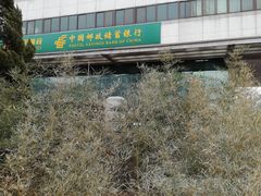 -北京国际邮局邮件处理中心