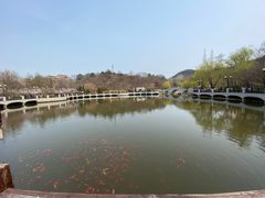 -大连植物园