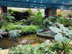 -凯德广场(学府店)