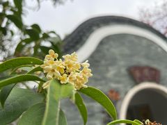 -广州神农草堂中医药博物馆