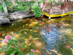 -白家大院·王府宫廷菜(苏州街店)