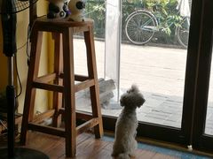 大堂-志龙皇冠吃货椰子铺