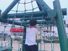 -碧海金沙