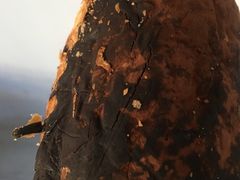 -Bread618面包生日蛋糕(欧亚商都店)