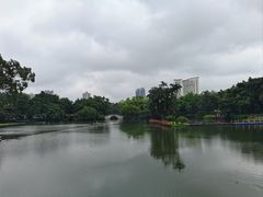 -荔湾湖公园