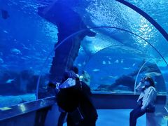 -多彩贵州城极地海洋世界