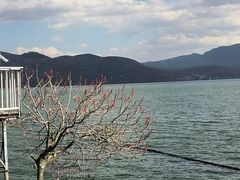 -南诏风情岛