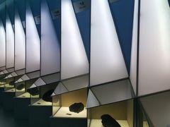 -大同煤炭博物馆