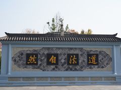 -青羊宫