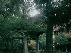-杭州花家山庄