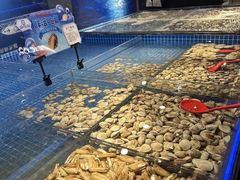 -焰江山海鲜牛排烤肉自助(锦华万达二星店)