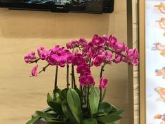 -苏浙总会(国金中心店)