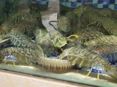 -欧记·龙城港(欣都店)