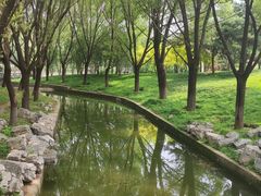 -大望京公园