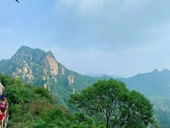 -大岭沟猕猴桃谷风景区