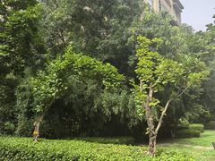 -万科·金域曲江
