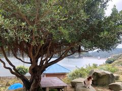 -大姆山草场