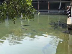 -杭州植物园