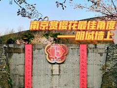 景点-南京城墙景区