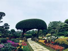 -南宁南湖公园