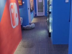 -浣熊部落ps4 ps5 switch 电玩(茶店子店)