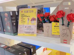 -乐高授权专卖店(岭南站NOVA店)