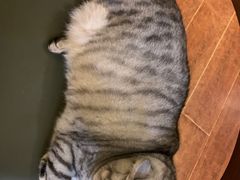 -H立方实景剧情密室(天河旗舰店)