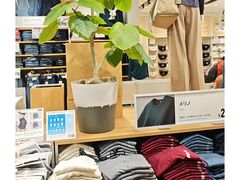 -优衣库(银座店)