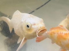 -中影国际影城(兰生大厦店)