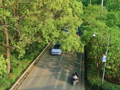 -白鹭湾湿地公园