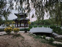 -水西公园