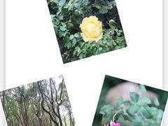 -东方绿舟景区