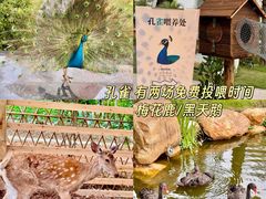 -惠州金海湾嘉华度假酒店