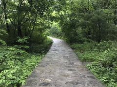 -青峰峡国家森林公园