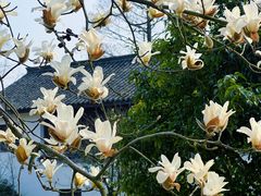 -杭州植物园