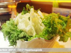 -龙福成肥牛火锅(文昌店)