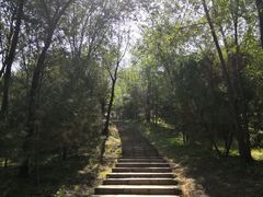 -森林公园(尖草坪区)