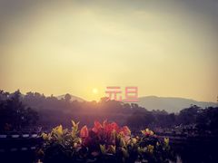 -大屏嶂森林公园