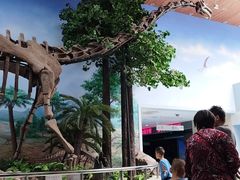 -延庆地质公园博物馆