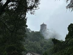 -缙云山景区