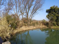 -西溪国家湿地公园