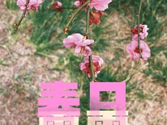 -香山公园