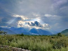 -小海豚•老字号海鲜餐厅(天涯店)